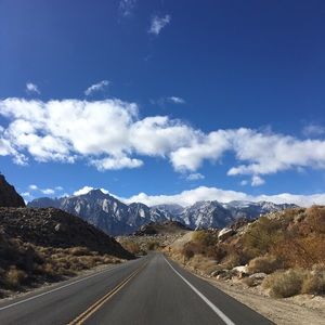 Meet your Posher, Rosalie